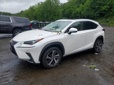 JTJBARBZ2J2****** 2018 Lexus NX 300