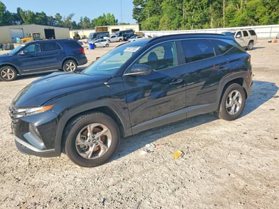 5NMJB3DE3RH****** 2024 Hyundai Tucson