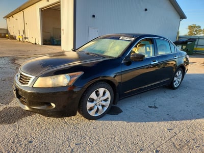 2009 Honda Accord