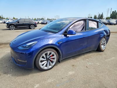 7SAYGDEF3PF****** 2023 Tesla Model Y