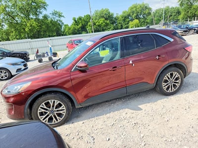 1FMCU9H65MU****** 2021 Ford Escape