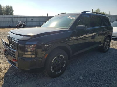 KM8RJES26TU****** 2026 Hyundai Palisade