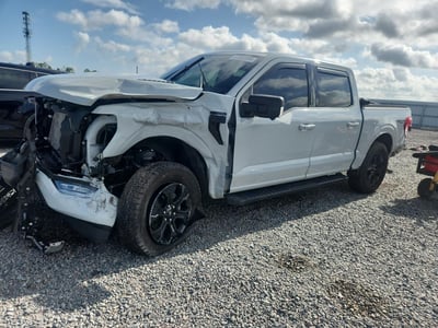 1FTFW1E86PF****** 2023 Ford F-150
