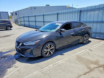 1N4AA6CV8LC****** 2020 Nissan Maxima