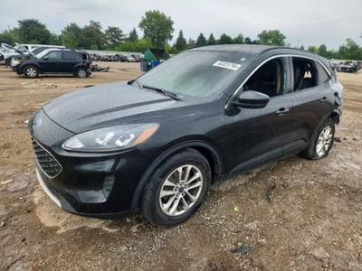 1FMCU0G67MU****** 2021 Ford Escape