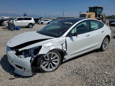 5YJ3E1EB3MF****** 2021 Tesla Model 3