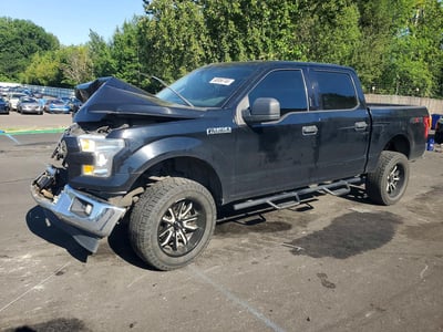 1FTEW1EF2HF****** 2017 Ford F-150