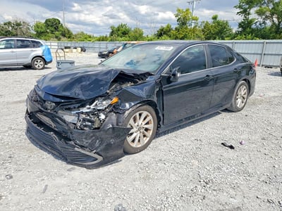 4T1C11AK1PU****** 2023 Toyota Camry