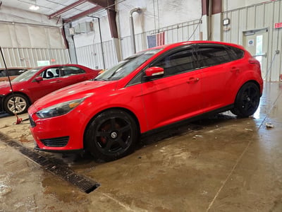1FADP3K29FL****** 2015 Ford Focus
