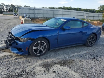 1FA6P8TH5R5****** 2024 Ford Mustang