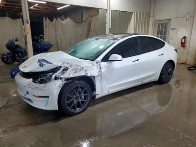 5YJ3E1EAXPF****** 2023 Tesla Model 3