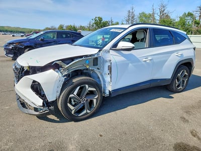 5NMJFCDE0RH****** 2024 Hyundai Tucson