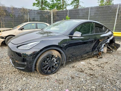 7SAYGDEE8PF****** 2023 Tesla Model Y