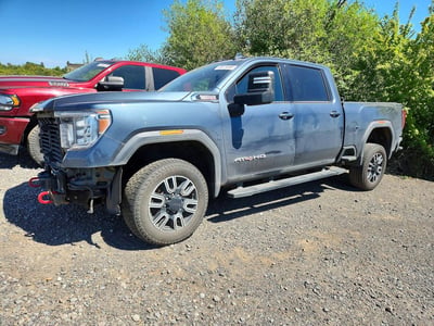 1GT49VEY9LF****** 2020 GMC Sierra