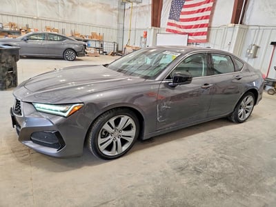 2022 Acura TLX