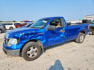 1FTRF12809K****** 2009 Ford F-150