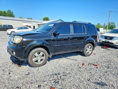 5FNYF4H5XBB****** 2011 Honda Pilot