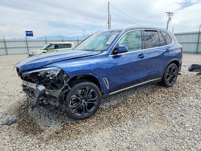 5UXCR6C51KL****** 2019 BMW X5