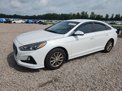 5NPE24AF0KH****** 2019 Hyundai Sonata