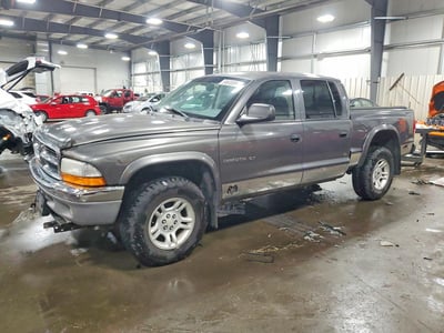 1B7HG48N82S****** 2002 Dodge Dakota