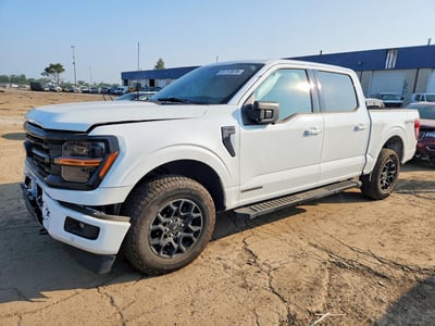 1FTFW3LD1SF****** 2025 Ford F-150