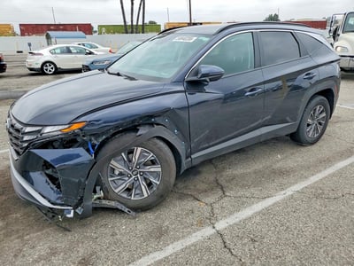 KM8JBCA1XPU****** 2023 Hyundai Tucson