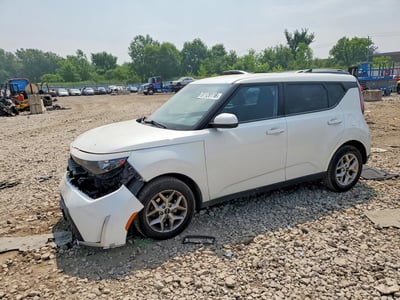 KNDJ23AU7R7****** 2024 Kia Soul