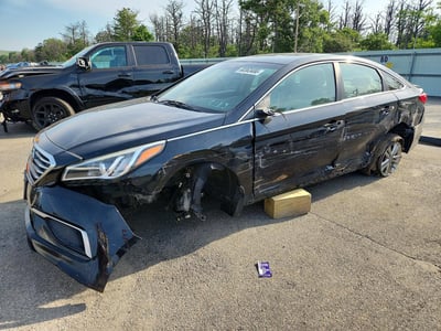 5NPE24AF7GH****** 2016 Hyundai Sonata
