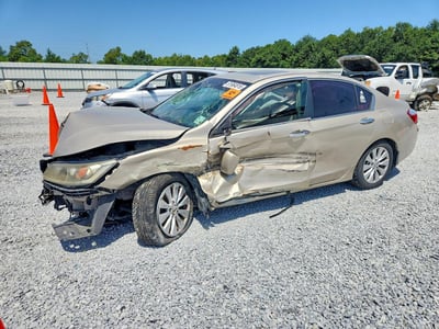 1HGCR2F88FA****** 2015 Honda Accord