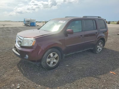 5FNYF3H64BB****** 2011 Honda Pilot