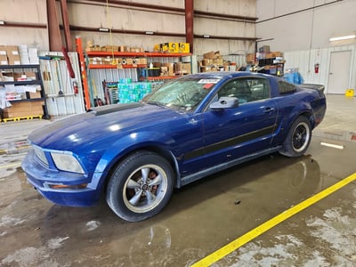 1ZVFT80N075****** 2007 Ford Mustang