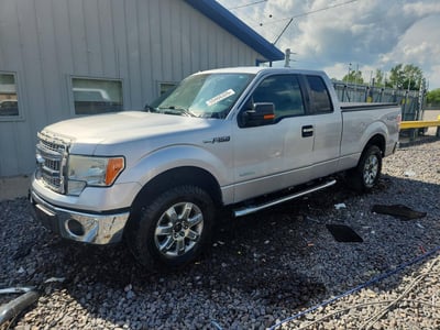 1FTFX1ET9DK****** 2013 Ford F-150