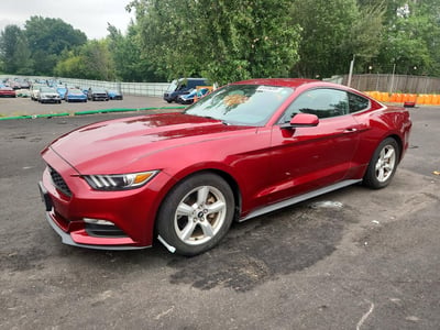 1FA6P8AM9F5****** 2015 Ford Mustang
