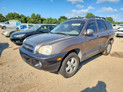 KM8SC13E05U****** 2005 Hyundai Santa Fe