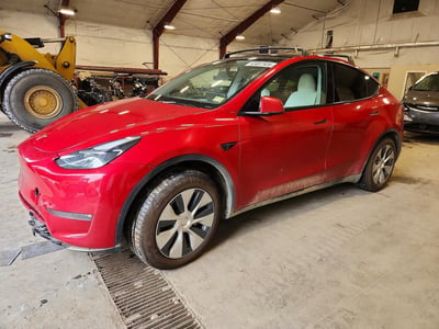 7SAYGAEE6PF****** 2023 Tesla Model Y