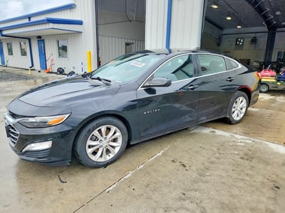 1G1ZD5ST7KF****** 2019 Chevrolet Malibu