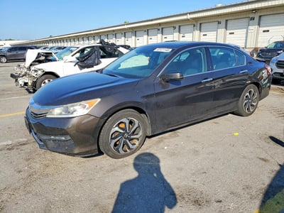 1HGCR3F04GA****** 2016 Honda Accord
