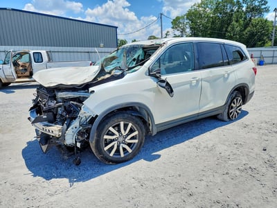 5FNYF6H53KB****** 2019 Honda Pilot