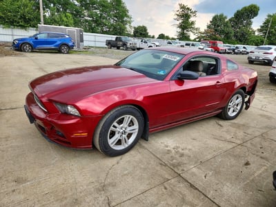 1ZVBP8AM4E5****** 2014 Ford Mustang