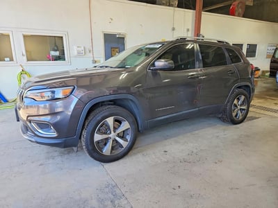 1C4PJMDX0LD****** 2020 Jeep Cherokee