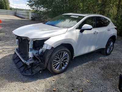 2T2GKCEZ9PC****** 2023 Lexus NX