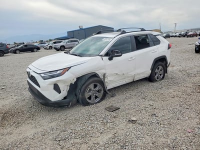 2T3P1RFV5PC****** 2023 Toyota RAV4