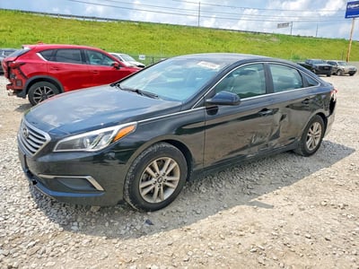 5NPE24AF7GH****** 2016 Hyundai Sonata