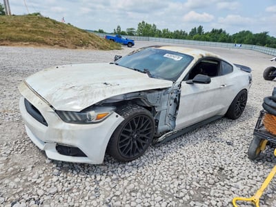 1FA6P8CF4F5****** 2015 Ford Mustang