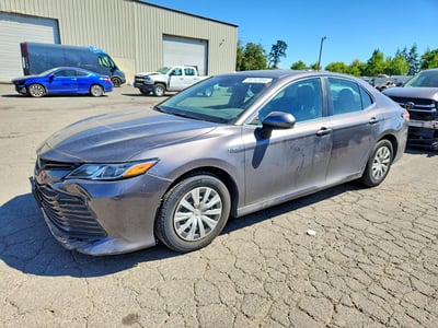 4T1C31AK7LU****** 2020 Toyota Camry