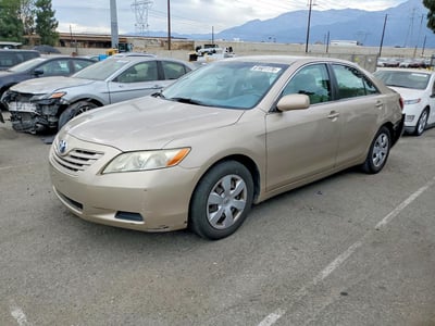 4T4BE46K79R****** 2009 Toyota Camry