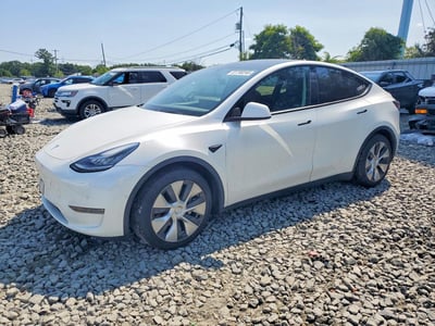 5YJYGDEE8MF****** 2021 Tesla Model Y