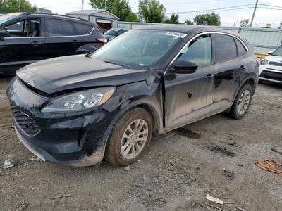 1FMCU0G68LU****** 2020 Ford Escape