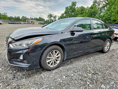 5NPE24AF6KH****** 2019 Hyundai Sonata