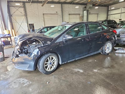 1FADP3F23GL****** 2016 Ford Focus